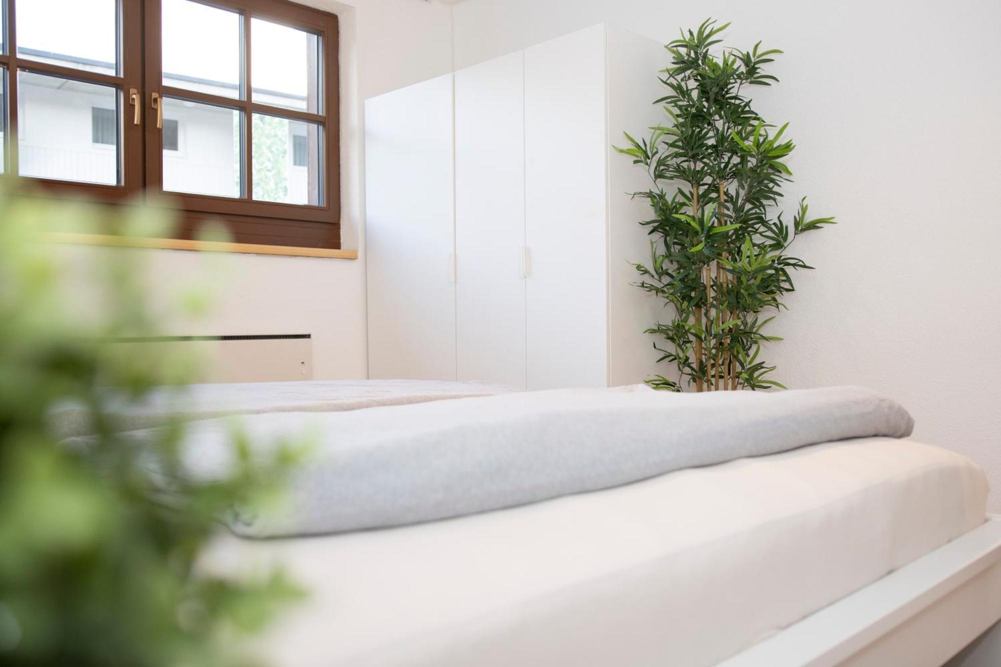 Apartmenthaus Rose *