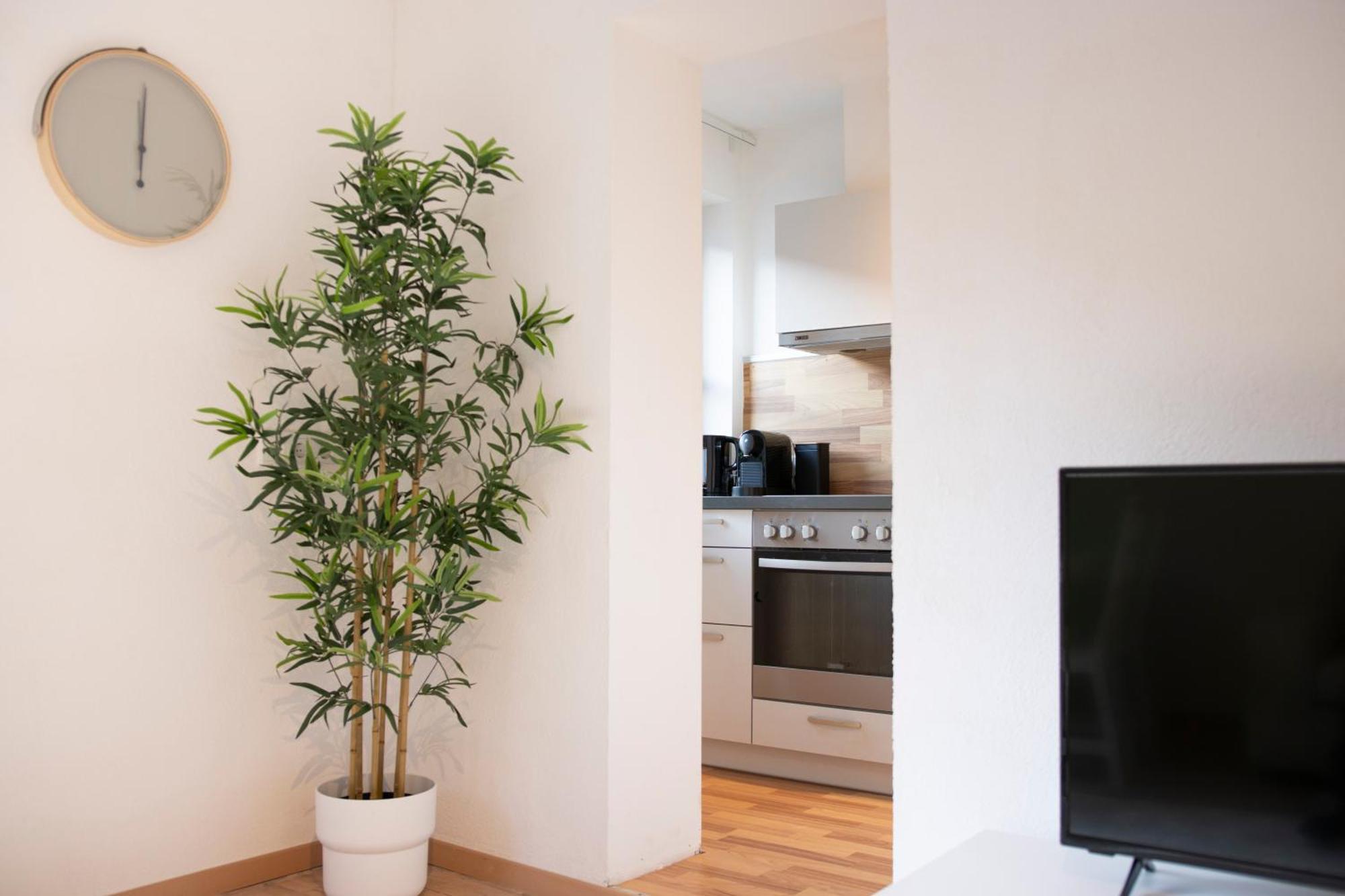 Apartment Apartmenthaus Rose Prutz